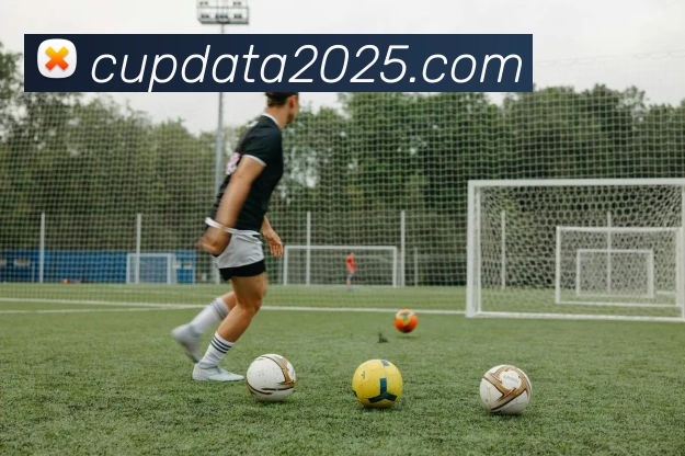 世俱杯官网平台生态图